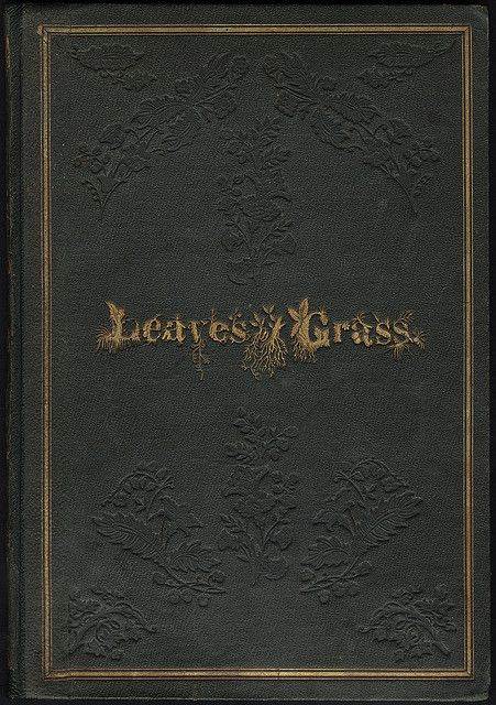 Image 3489205