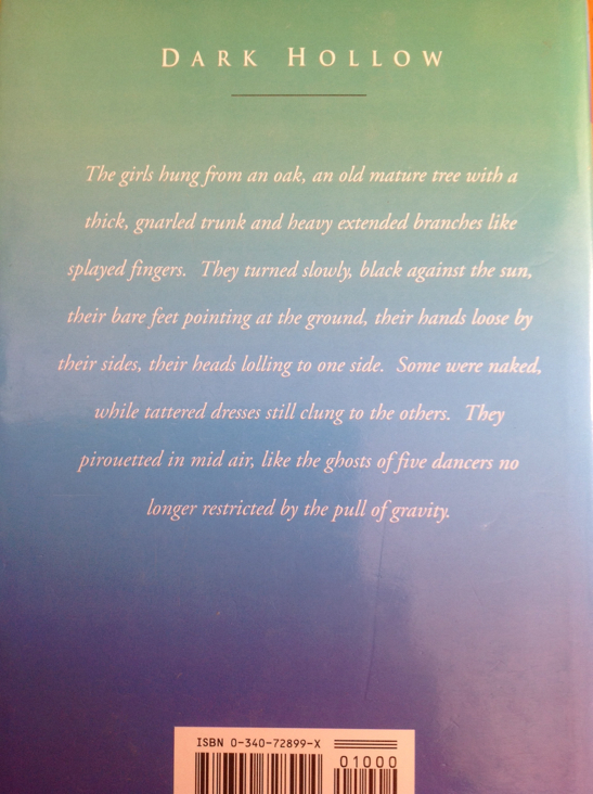 Dark Hollow - John Connolly (Hodder & Stoughton - Hardcover) book collectible [Barcode 9780340728994] - Main Image 2