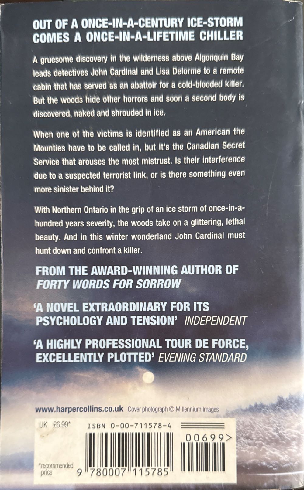 The Delicate Storm - Giles Blunt (HarperCollins Publishers  - Paperback) book collectible [Barcode 9780007115785] - Main Image 2