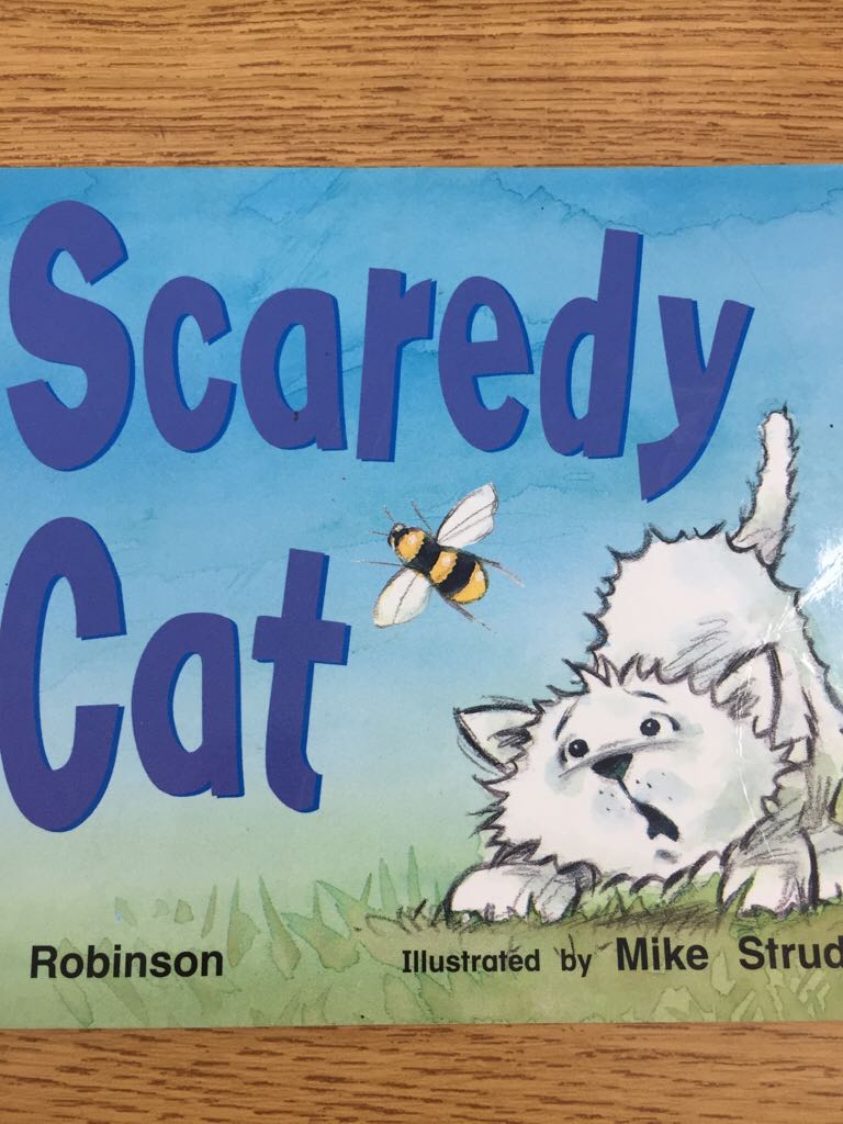 Creed: What Christians Believe and Why It Matters