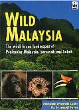 One Door Away from Heaven