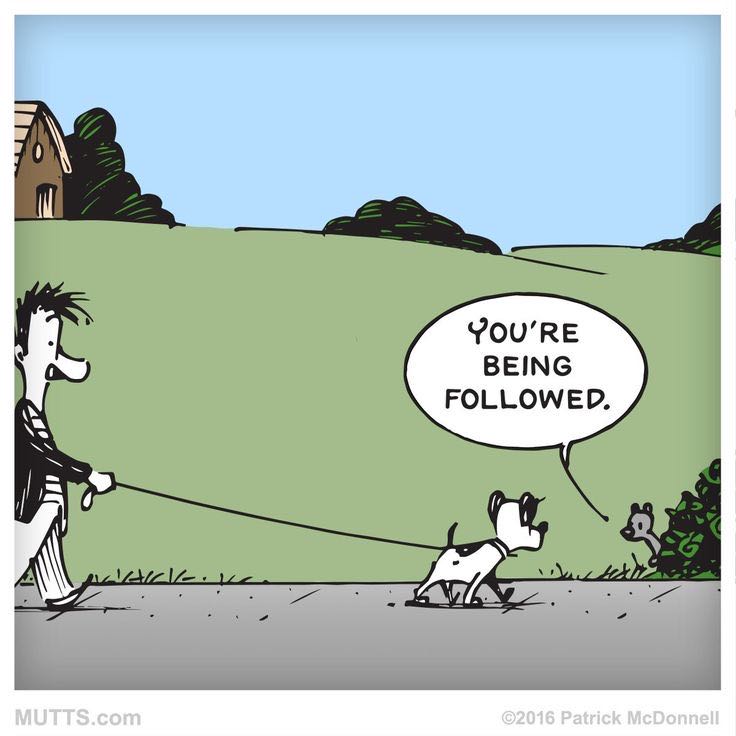 Mutts - Patrick McDonnell (Andrews McMeel Publishing - Paperback) book collectible [Barcode 9780836210255] - Main Image 4