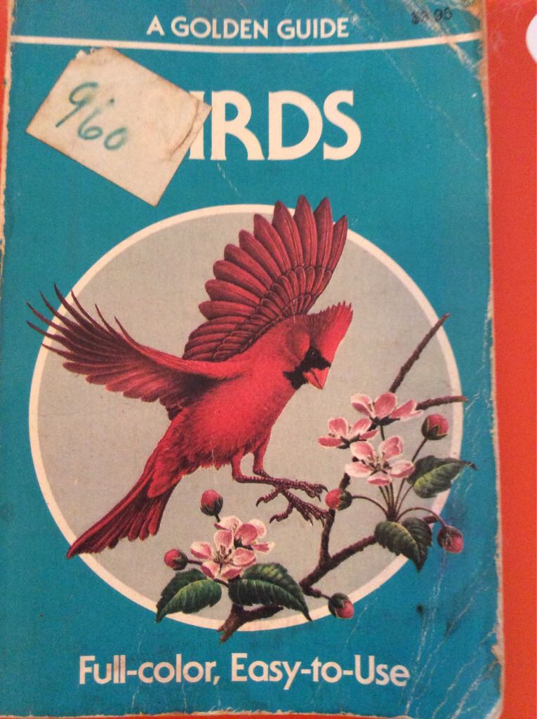 Image 3493002