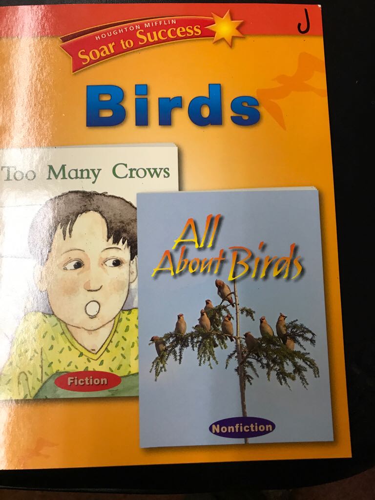 Stalking The Puzzle Lady