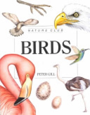 Birds - Eleanor Stodart (Collins) book collectible [Barcode 9780816719600] - Main Image 1