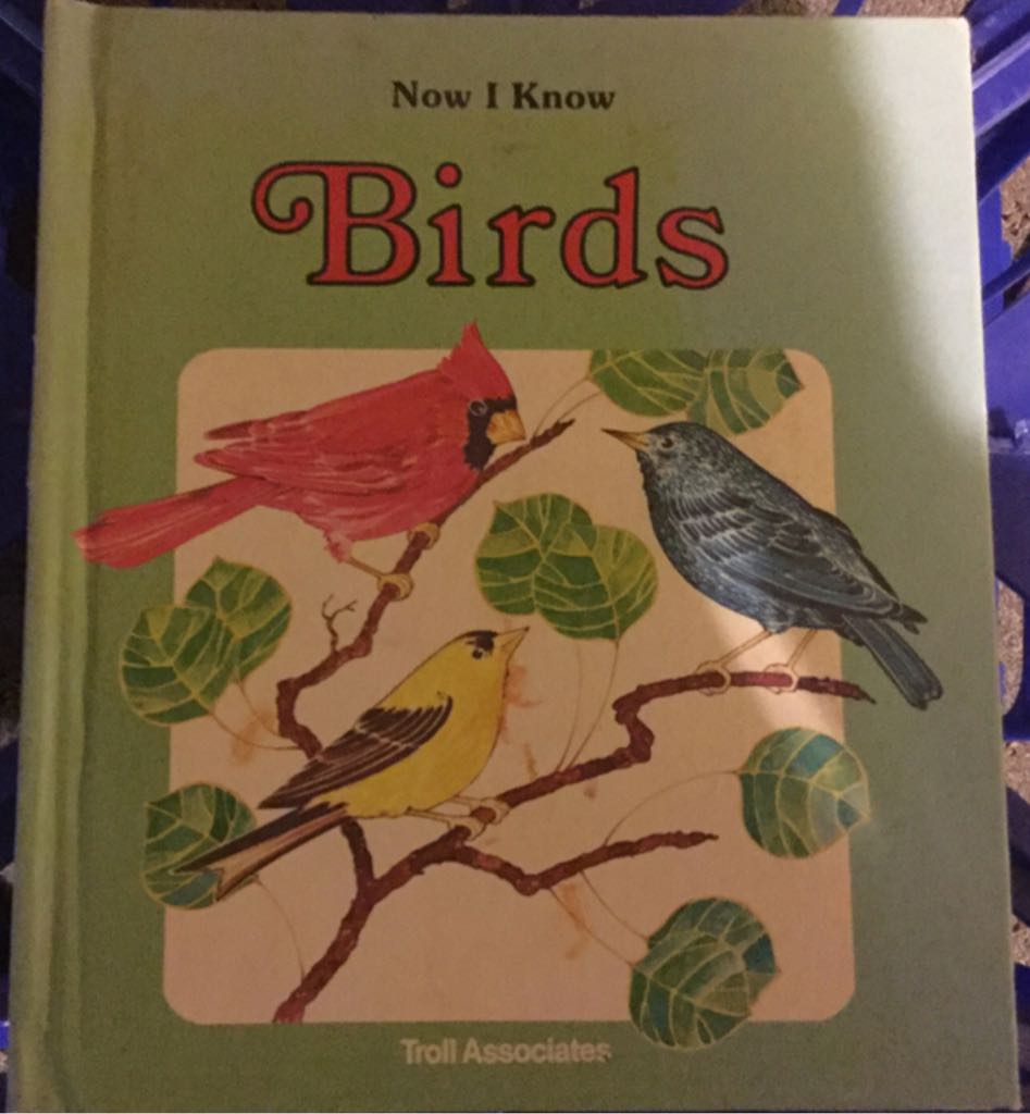 Birds - DK (Troll Communications Llc) book collectible [Barcode 9780893756567] - Main Image 1