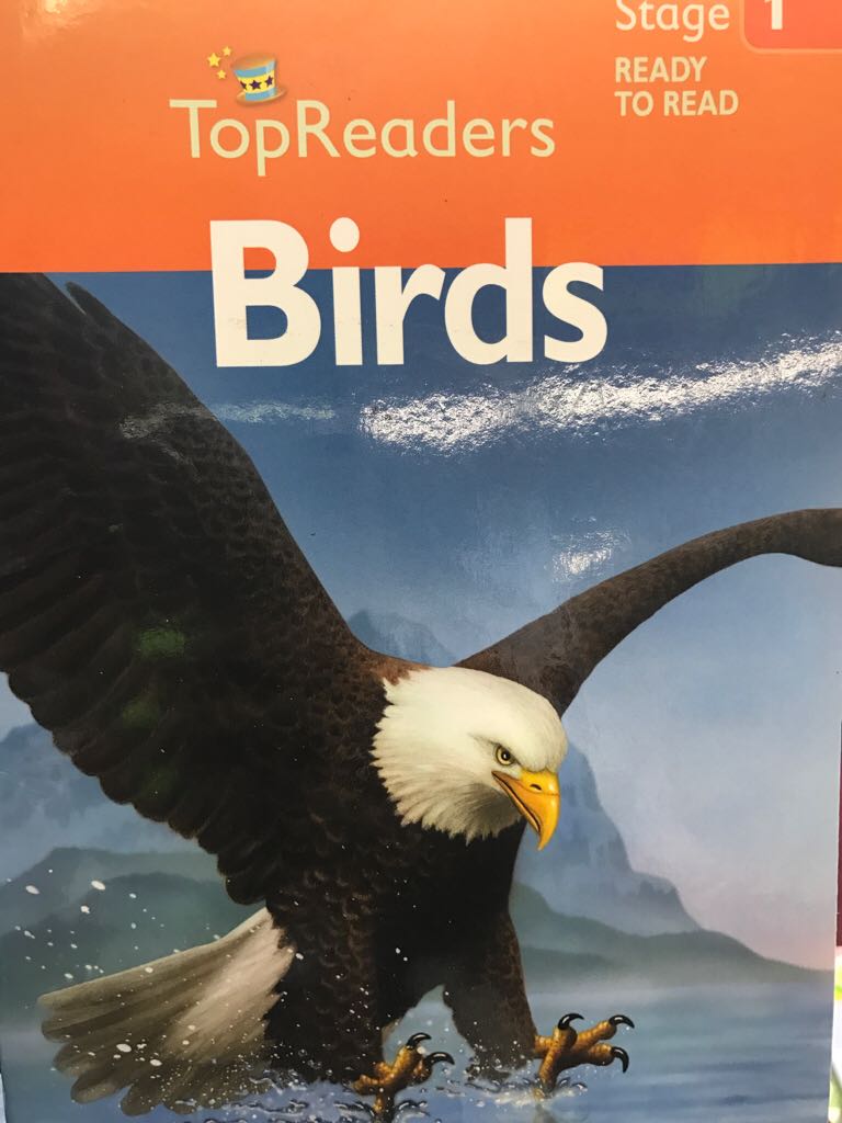 Nine Fruits Of The Spirit: Love