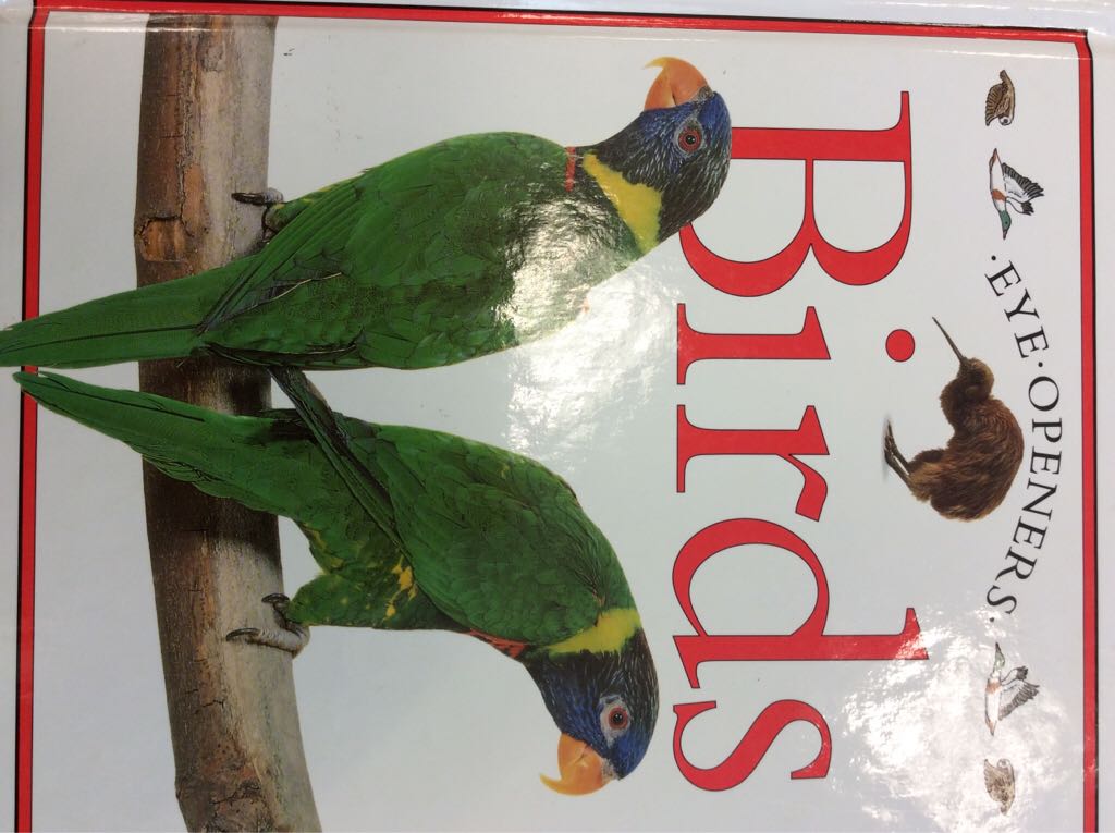 The House That Jack Built