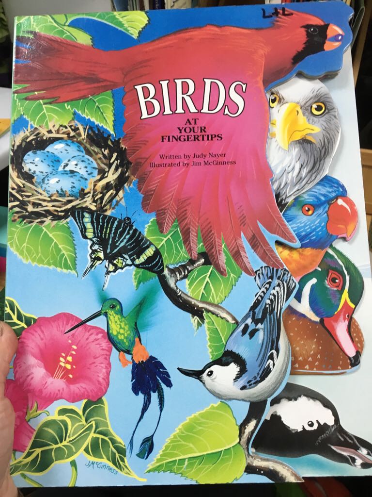 Birds - Katrina Cook (McClanahan Book Company - Hardcover) book collectible [Barcode 9781562935450] - Main Image 1