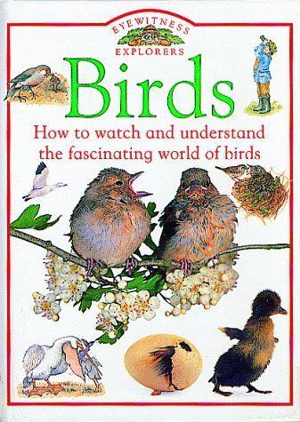 Image 3493079