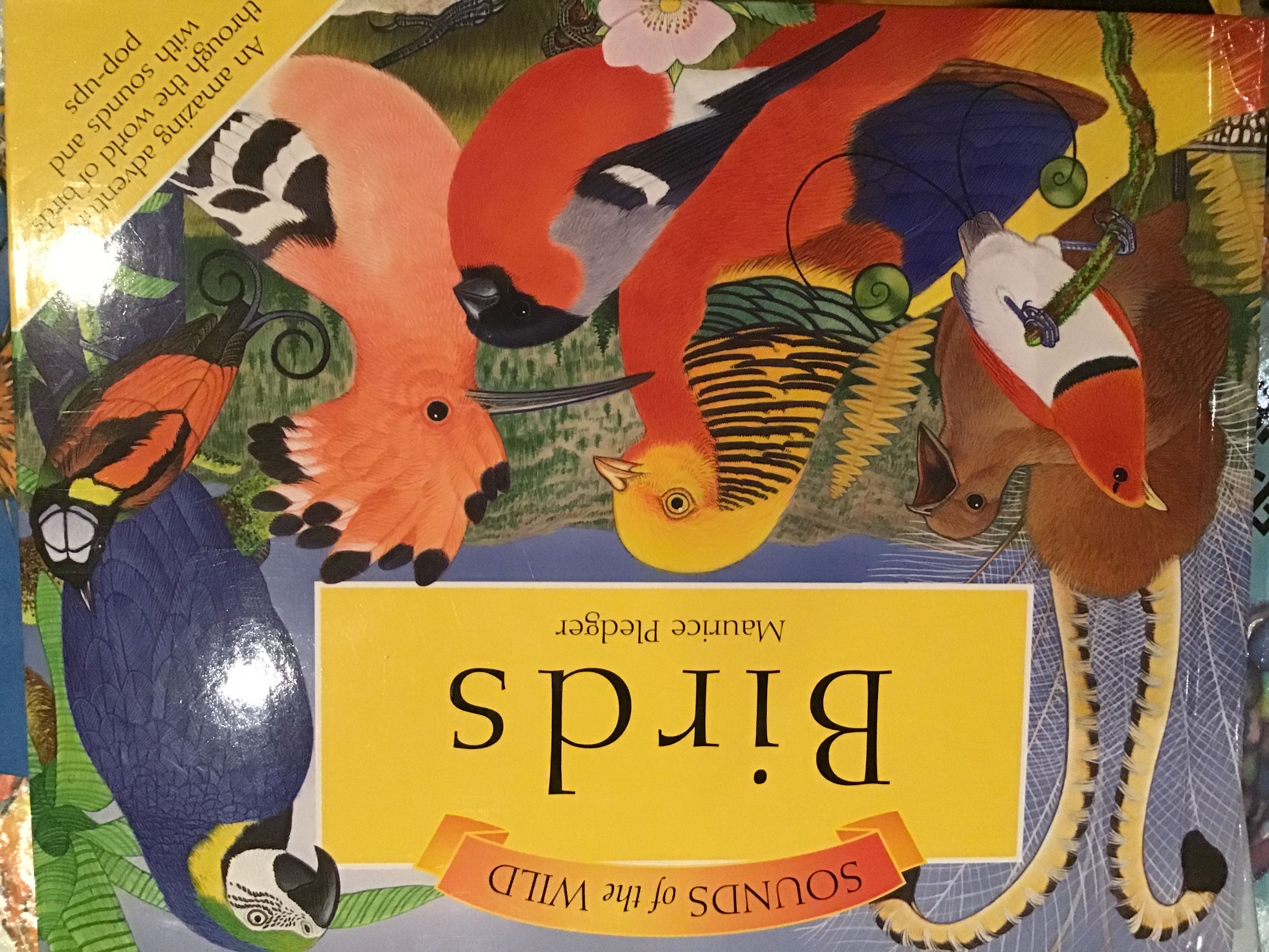 Birds - Maurice Pledger (Silver Dolphin Books) book collectible [Barcode 9781607101260] - Main Image 2