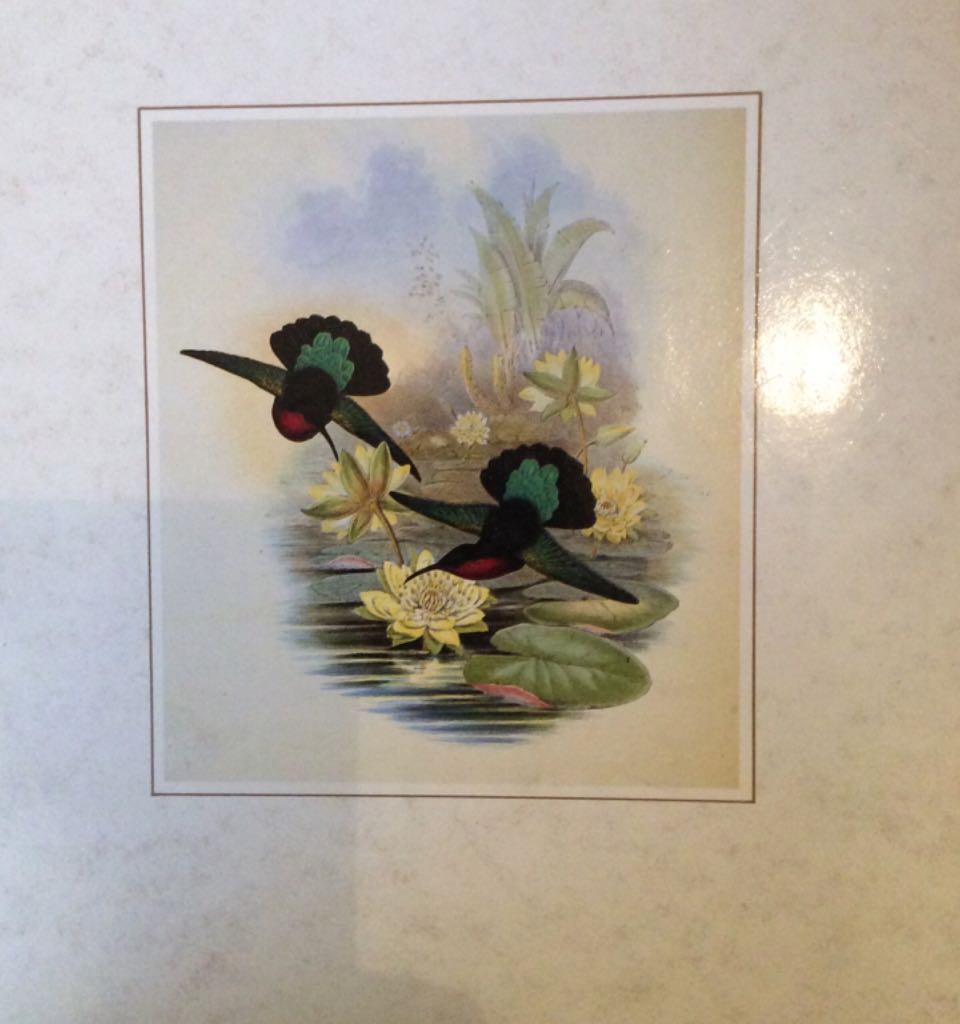 Birds - DK book collectible [Barcode 9781851703883] - Main Image 2