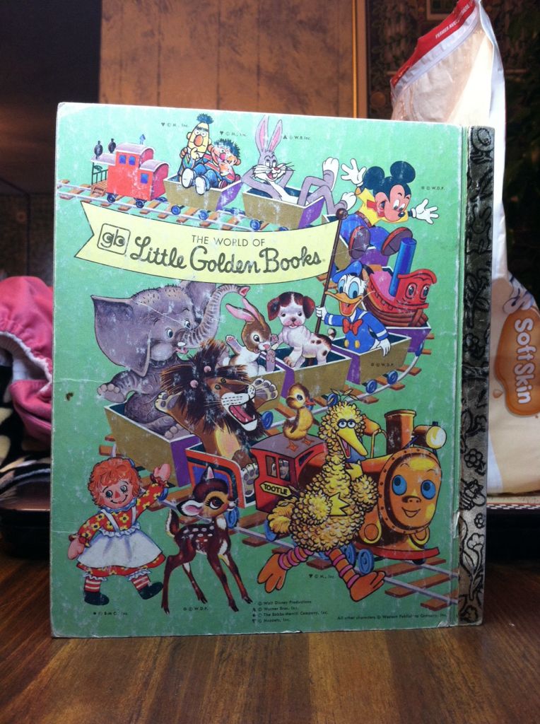 Birds - DK (Golden Press - Hardcover) book collectible - Main Image 2