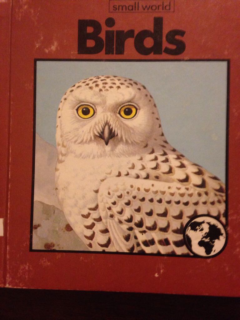 Liturgy Explained-10: 0819212857-13: