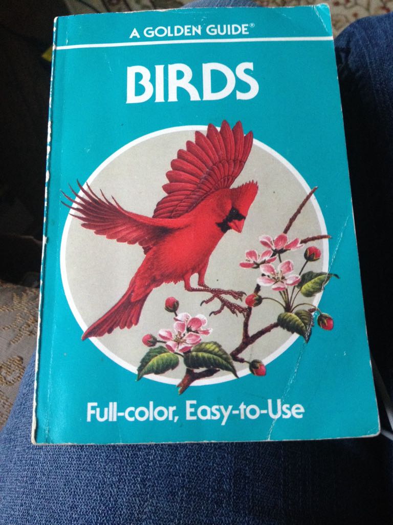 Birds - DK book collectible - Main Image 1