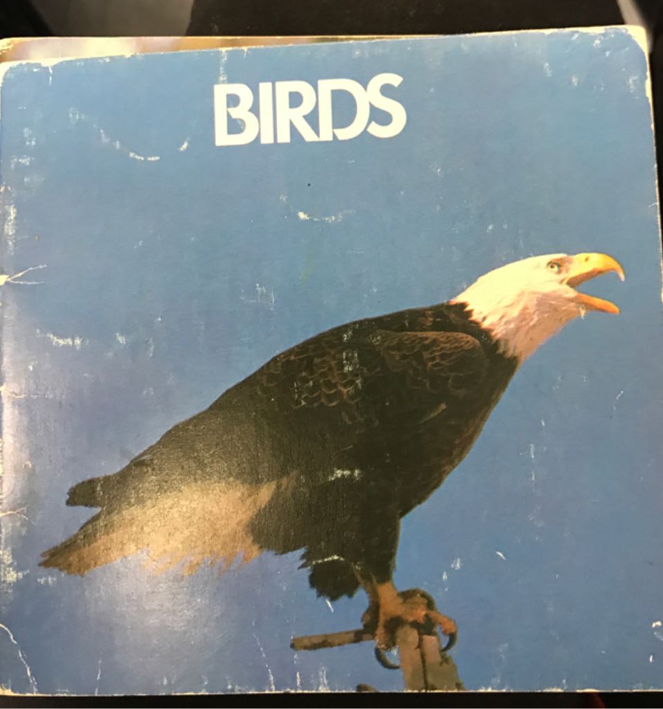 The House That Jack Built