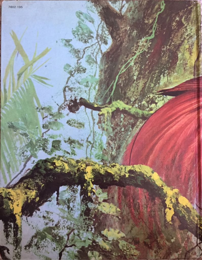 Birds - DK book collectible - Main Image 2