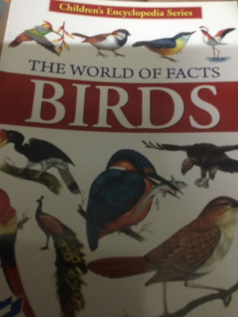 Image 3493142