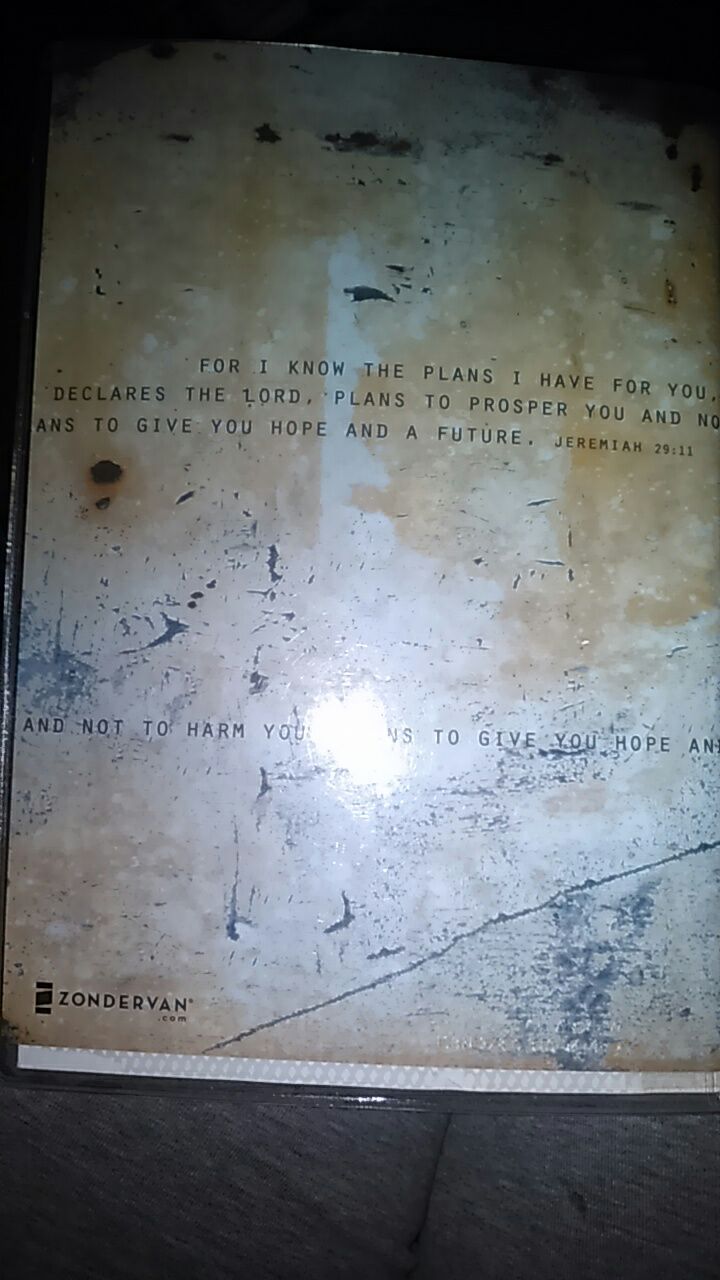 Student Bible by Philip Yancey, - Phillip Yancey (Paperback) book collectible - Main Image 2