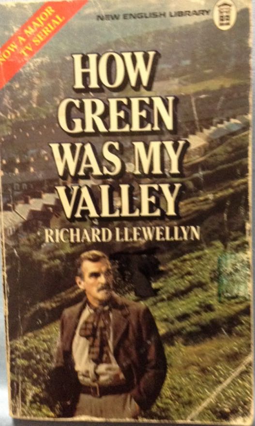 How Green Was My Valley - Richard Llewellyn (Penguin - Paperback) book collectible - Main Image 1