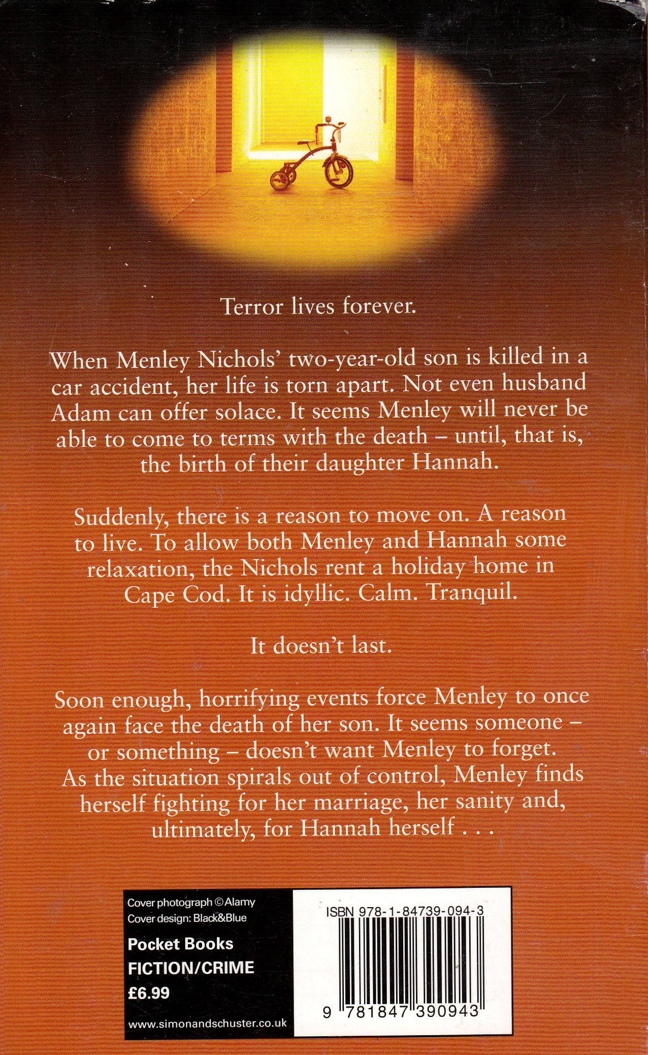 Remember Me - Mary Higgins Clark (Pocket Books - Paperback) book collectible [Barcode 9781847390943] - Main Image 2