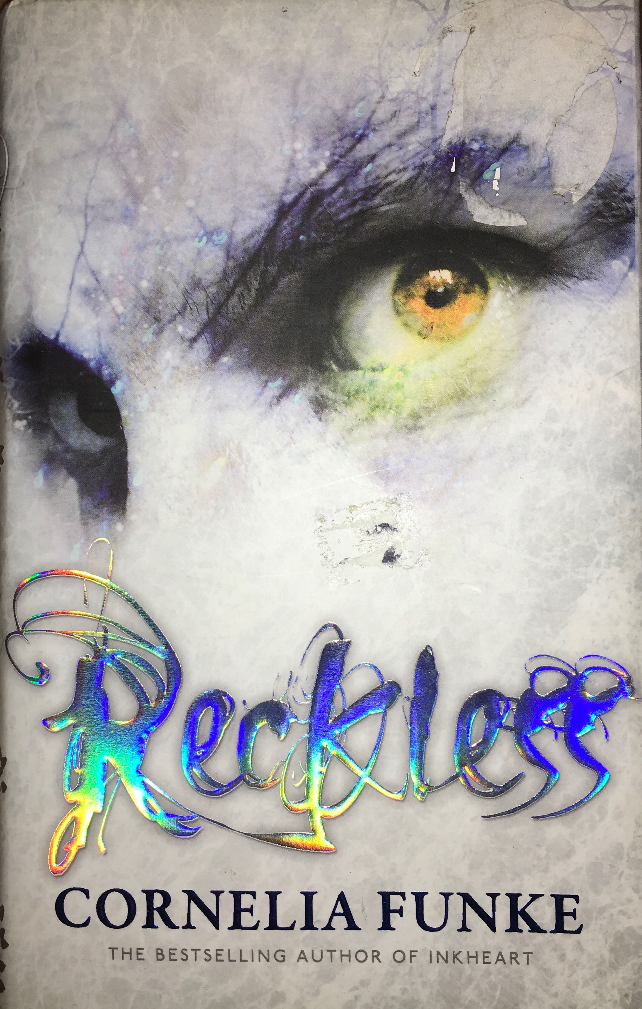 Reckless - Cornelia Funke (Chicken House - Hardcover) book collectible [Barcode 9781905294855] - Main Image 3