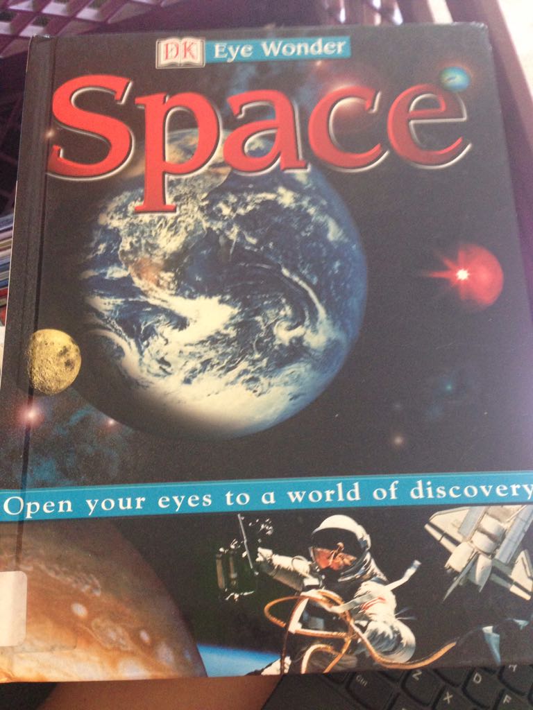 Still Life With Woodpecker