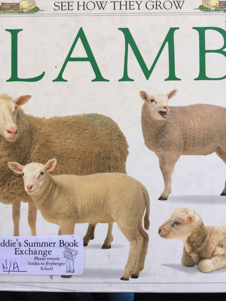 SPLENDEURS ET MISERES DES COURTISANES