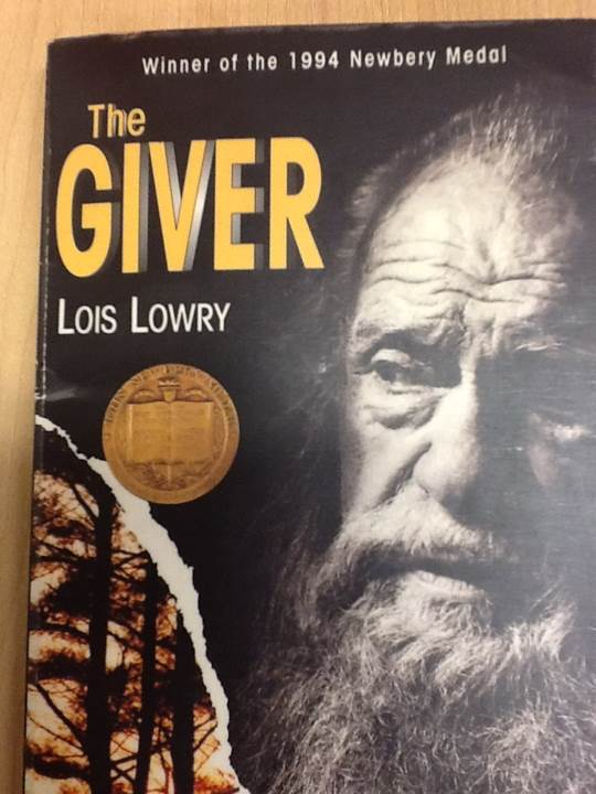 Irreverent Photo Tools for Digital Photographers, Softcover Book by Steve Weinrebe, 285 Pages, 4-Color