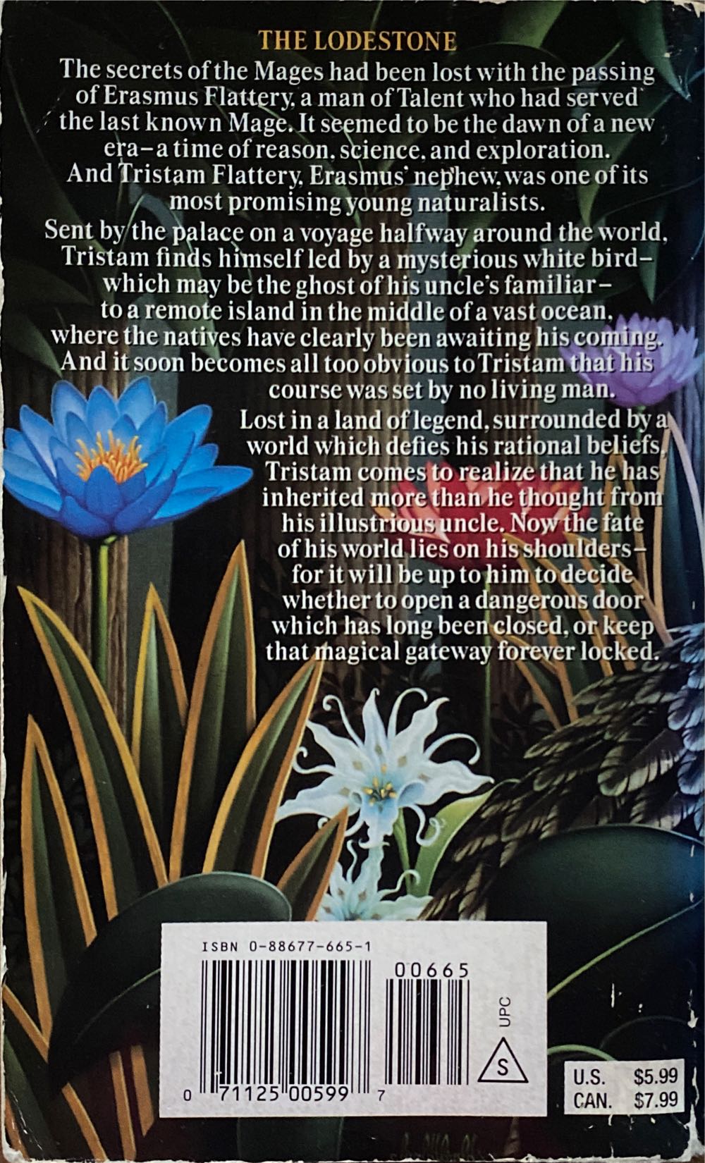 Sea Without a Shore - Sean Russell (D A W Books, Incorporated - Paperback) book collectible [Barcode 9780886776657] - Main Image 2