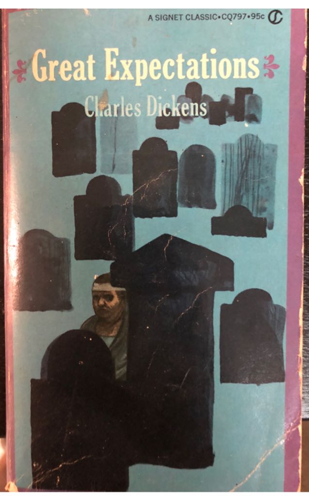 Romancing the Pirate