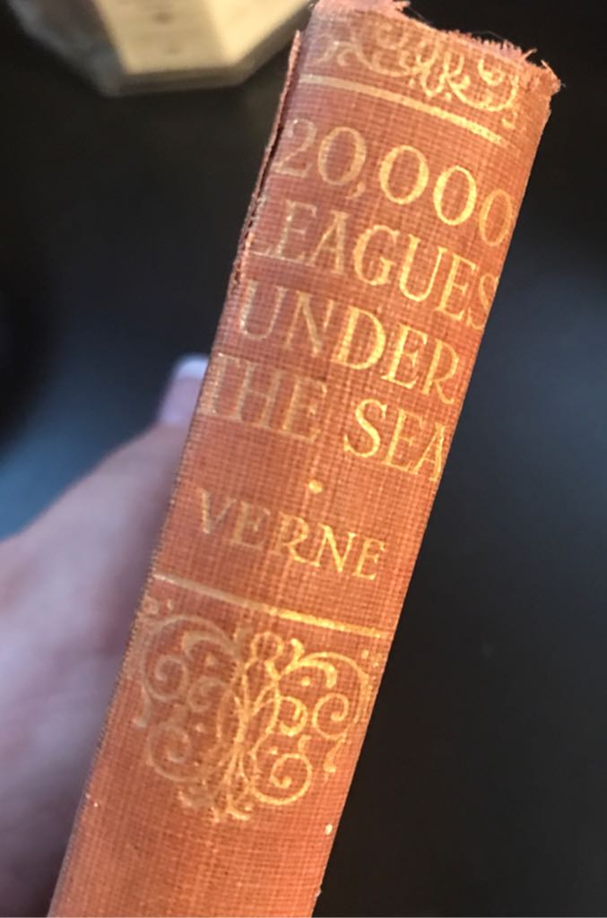 Image 3502625