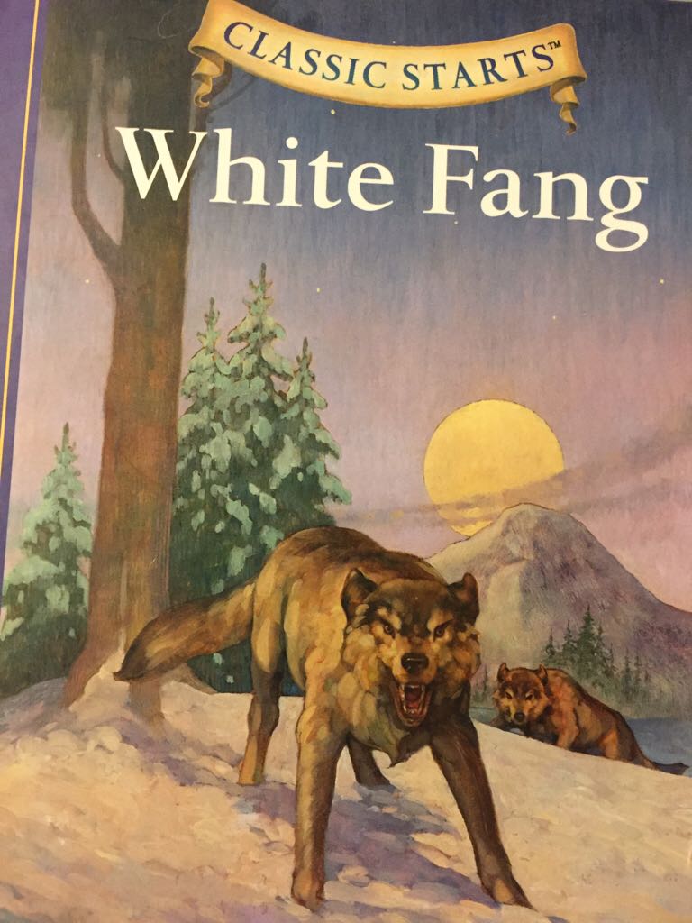 Admiral Morgan 06 - Barracuda 945