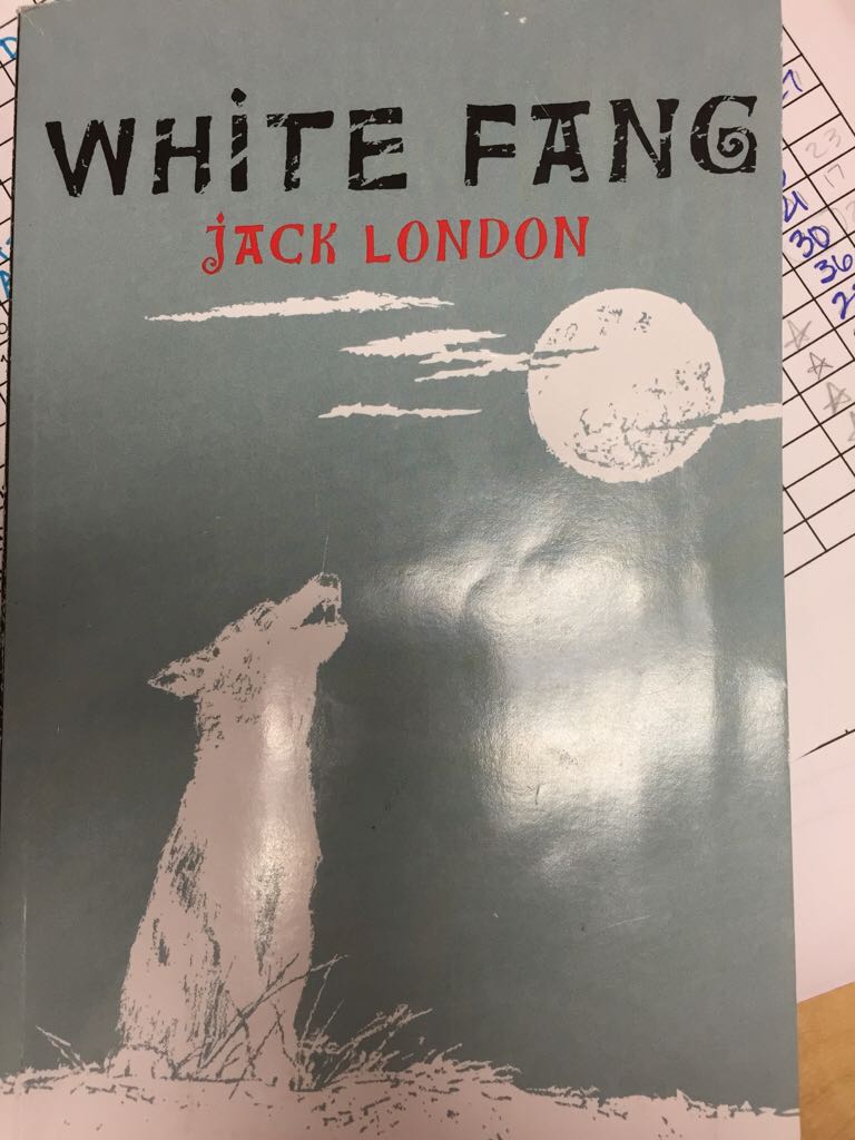 A Mulher Enigma Psico-Sexual