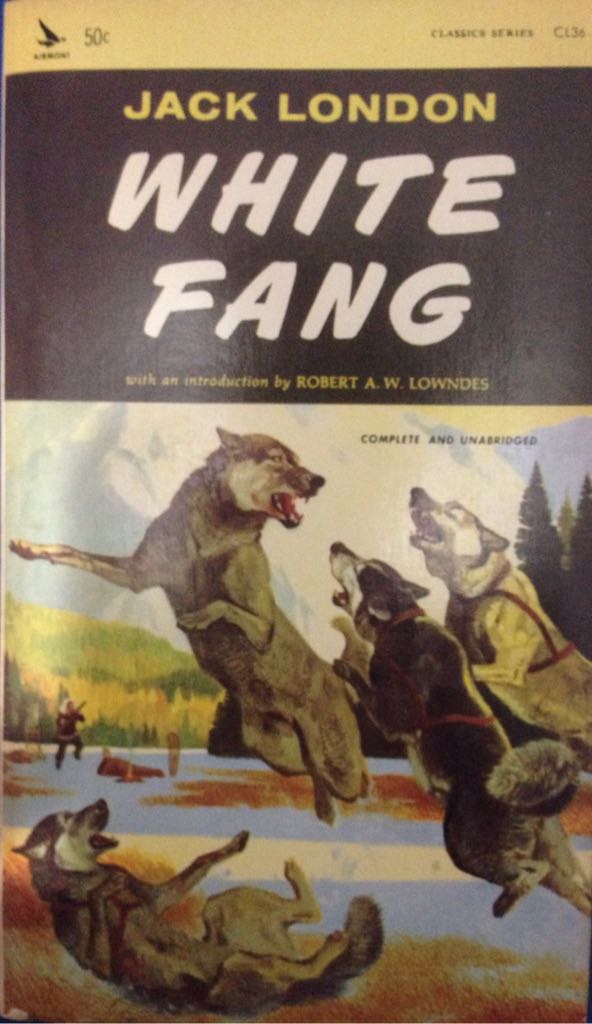 The Fifties In Pictures