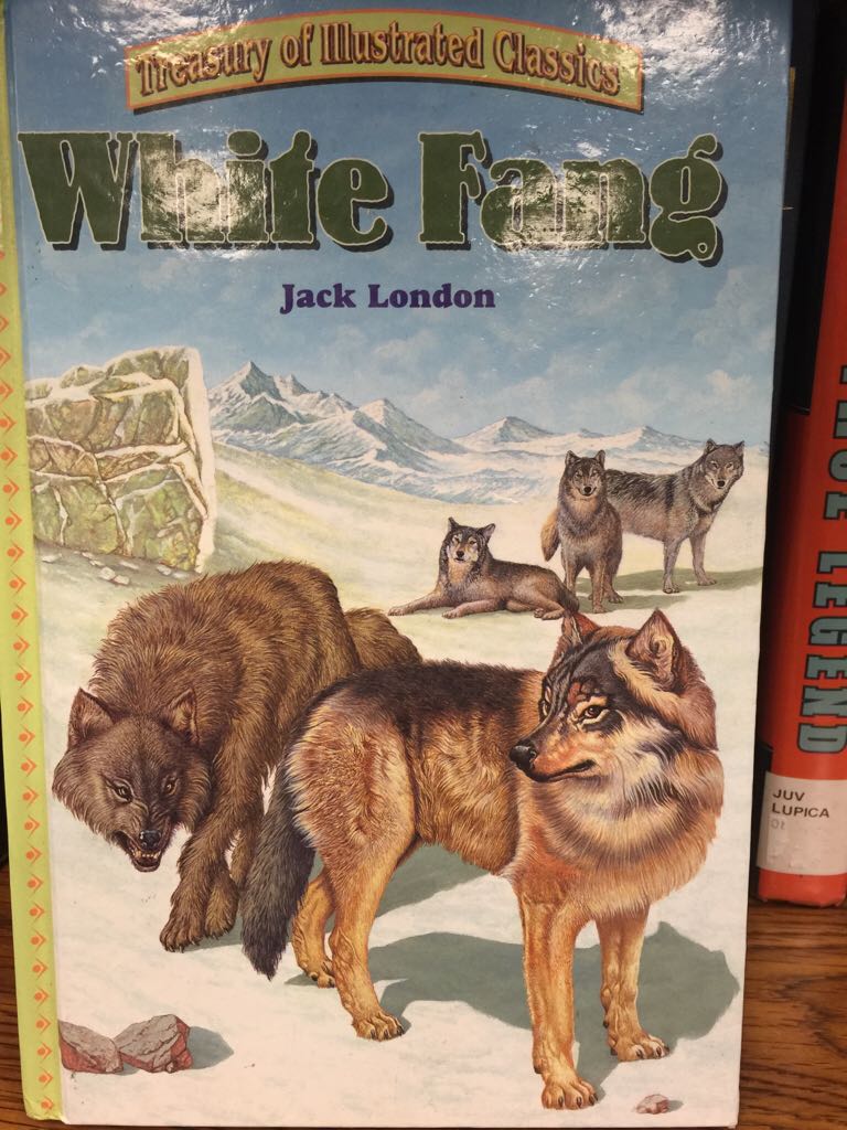 Diary of a Wimpy Kid Do-It-Yourself Book