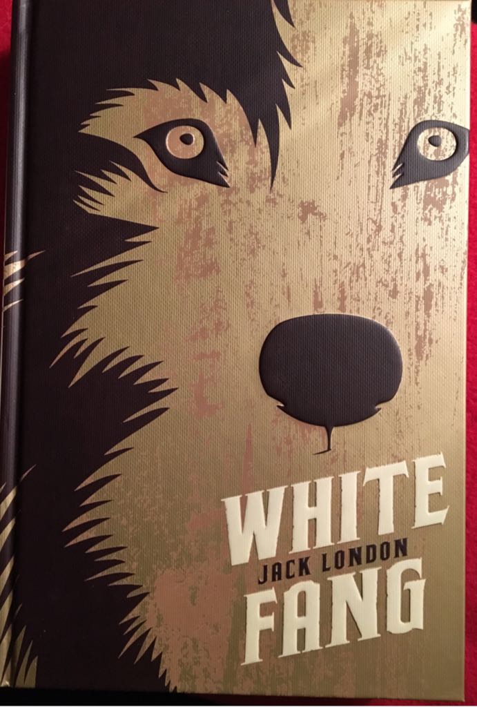 Image 3503412