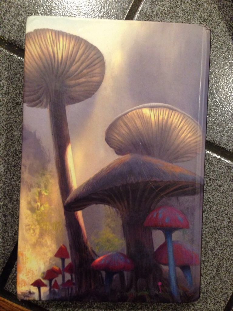 Looking Glass Wars 1 - Frank Beddor book collectible - Main Image 2