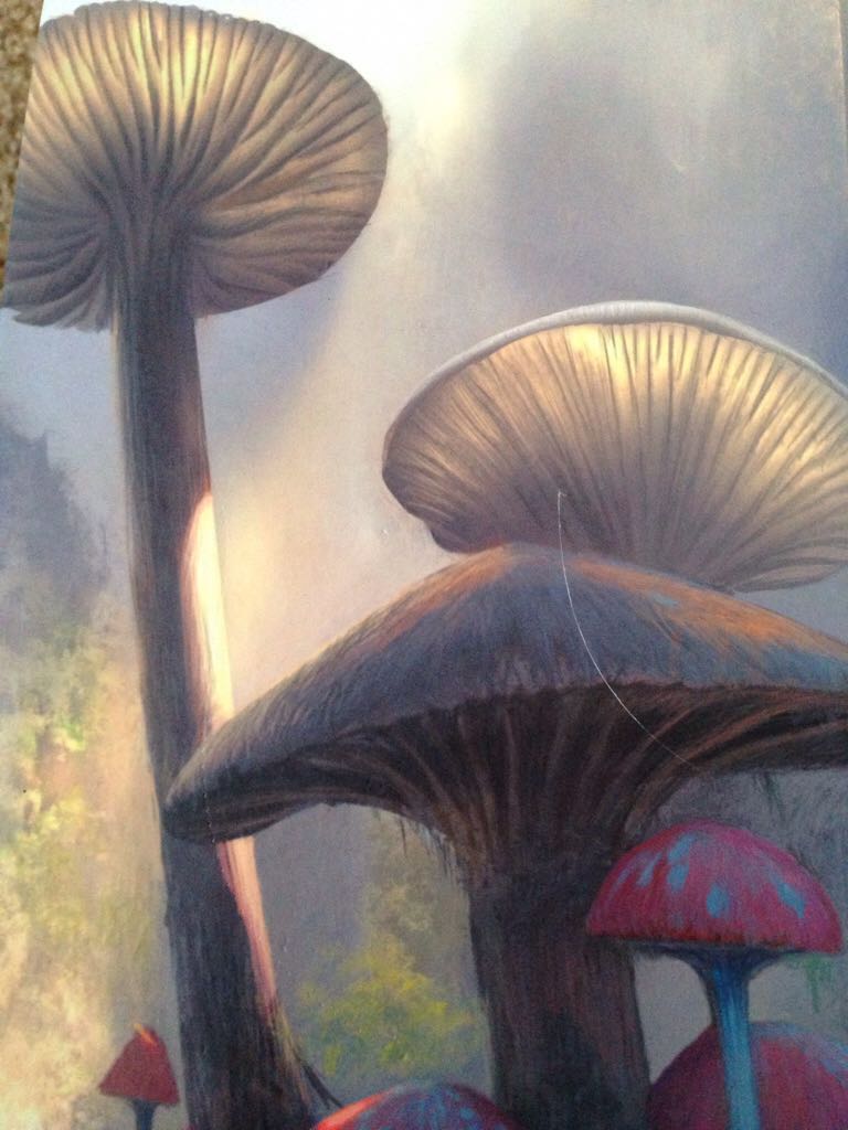 The Looking Glass Wars  book collectible - Main Image 2