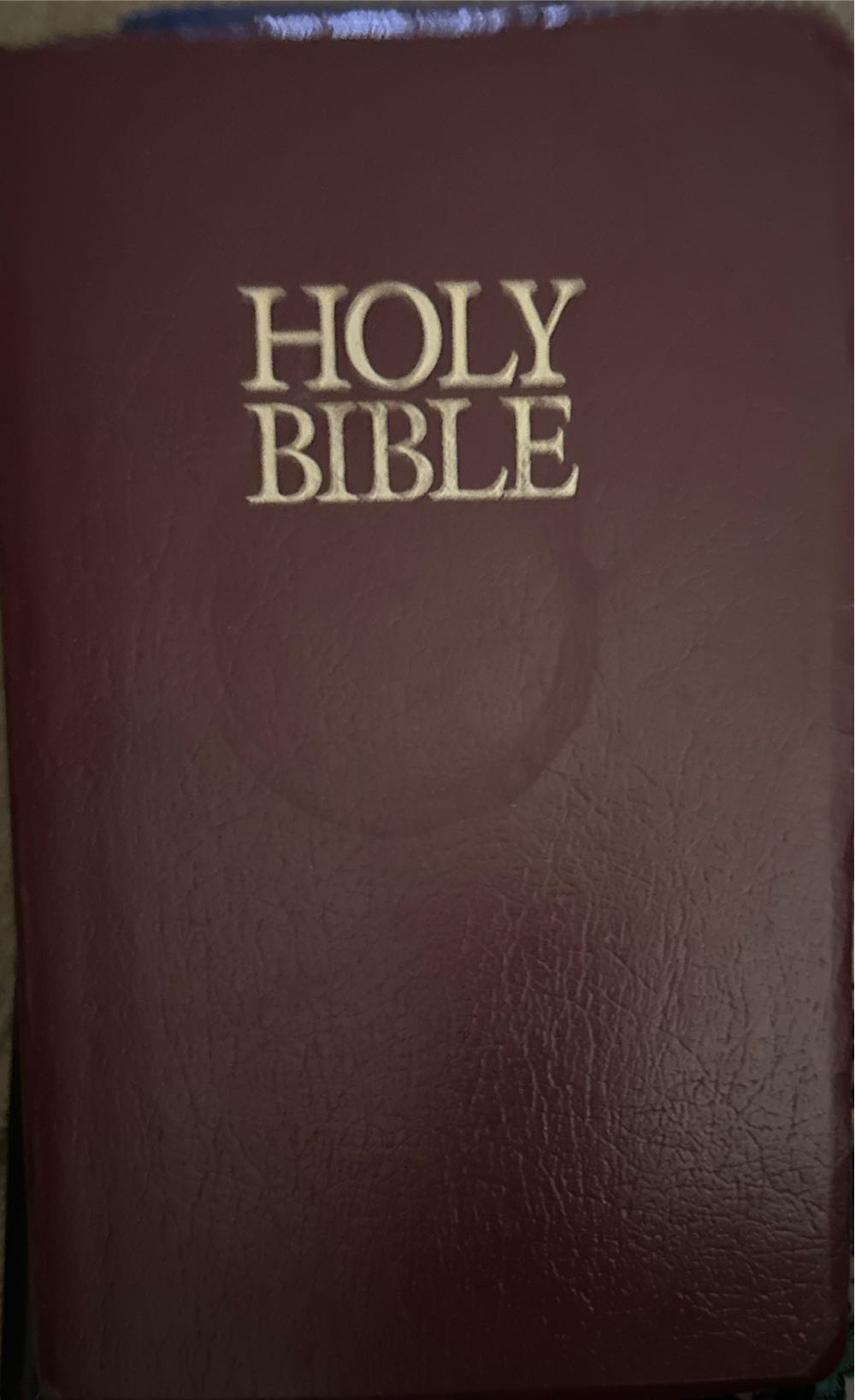 Holy Bible NIV - Various Authors (Zondervan) book collectible [Barcode 9780310926153] - Main Image 2