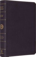 Falling. Chicken House