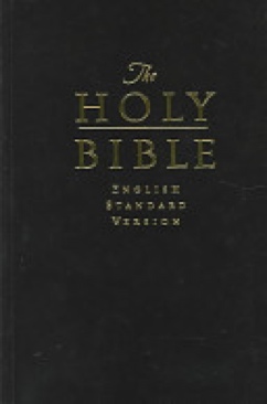 Das Mysterium -978-3-7466-2526-3 ()