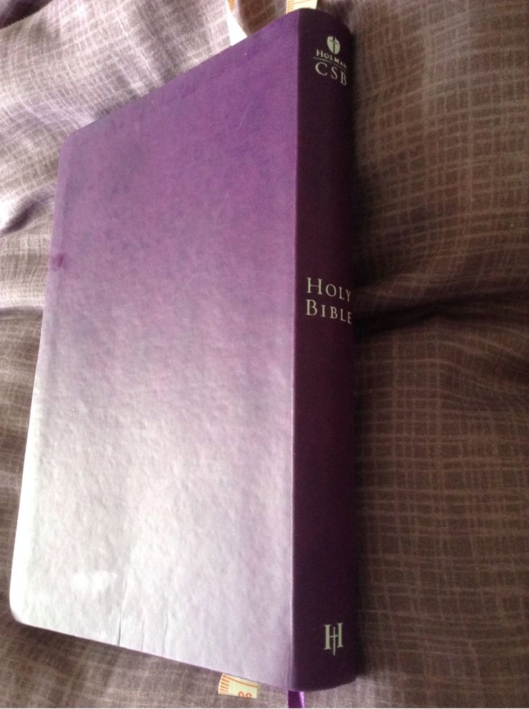 Holy Bible - God (Holman Bible Publishers) book collectible [Barcode 9781586404604] - Main Image 2