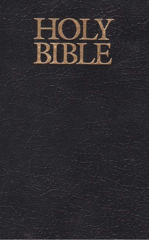 Holy Bible - Various book collectible [Barcode 9781591776000] - Main Image 1