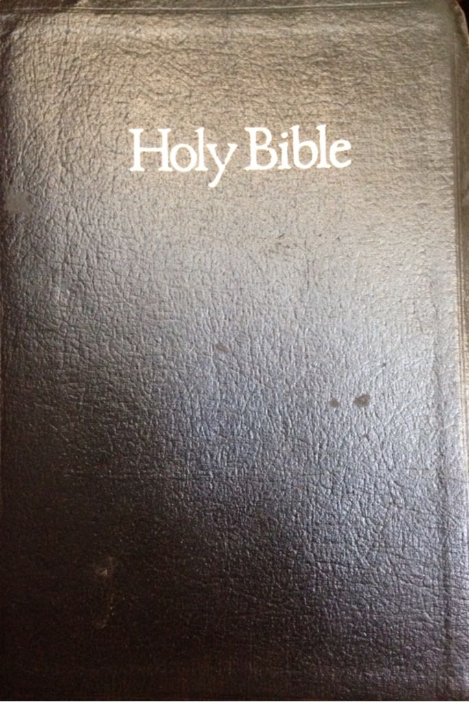 Family Next Door, The