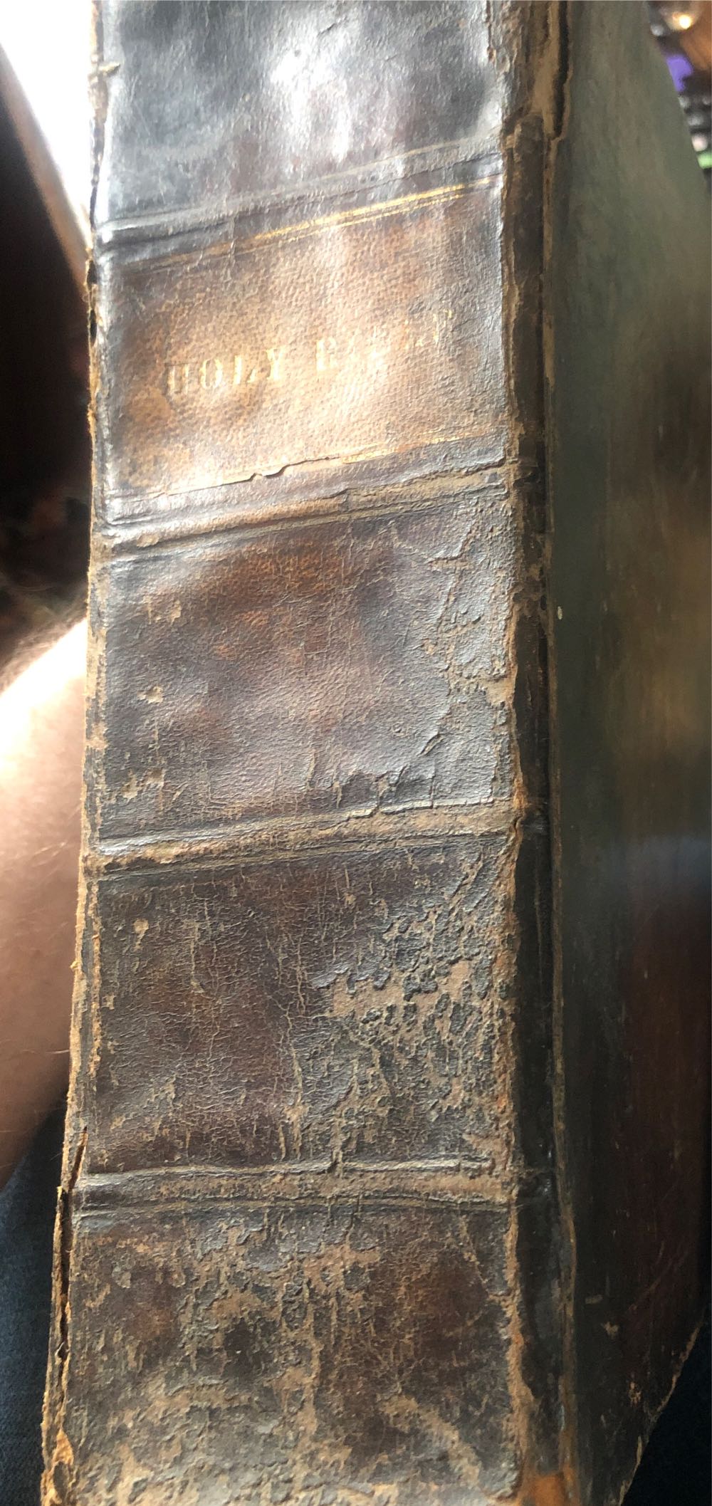 Holy Bible - God (Towar, J. & D. M. Hogan - Hardcover) book collectible - Main Image 3