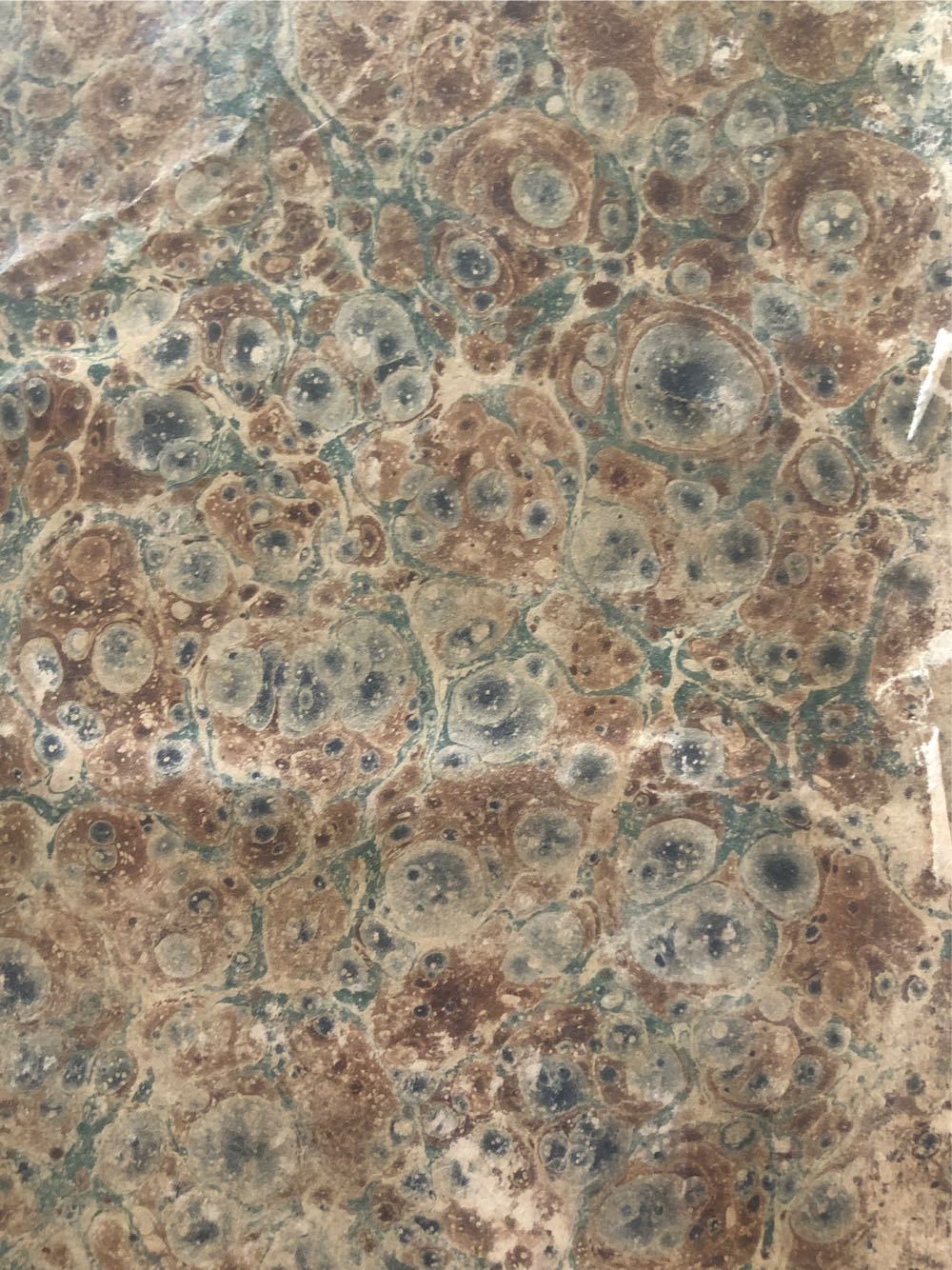 Holy Bible - God (Towar, J. & D. M. Hogan - Hardcover) book collectible - Main Image 4