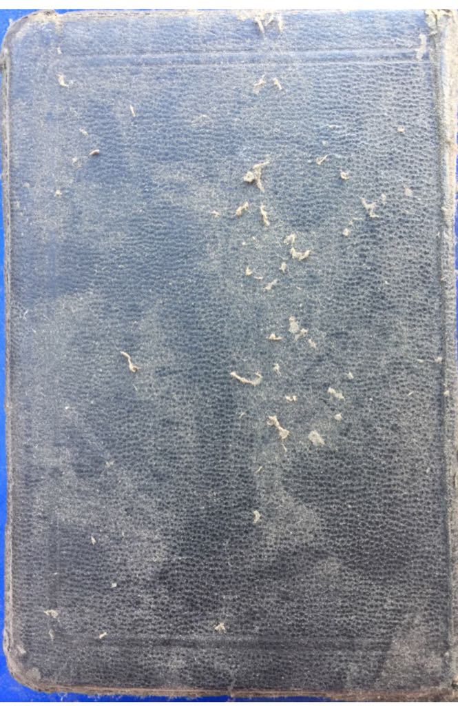 Holy Bible - God book collectible - Main Image 2