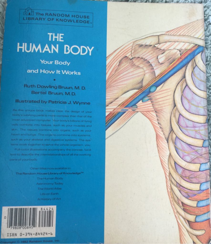 The Human Body - Bertel Bruun (Random House Books for Young Readers - Paperback) book collectible [Barcode 9780394844244] - Main Image 2