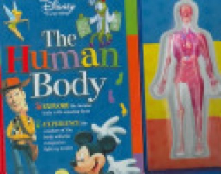 The Lost World: Jurassic Park